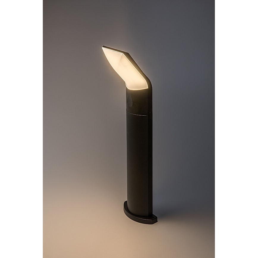 Rabalux - LED Outdoor lamp LED/10W/230V IP54