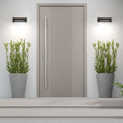 Rabalux - LED Outdoor wall light LED/20W/230V IP54