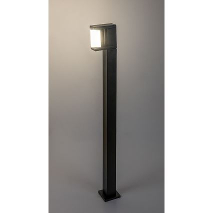 Rabalux - LED Outdoor lamp LED/10W/230V IP54