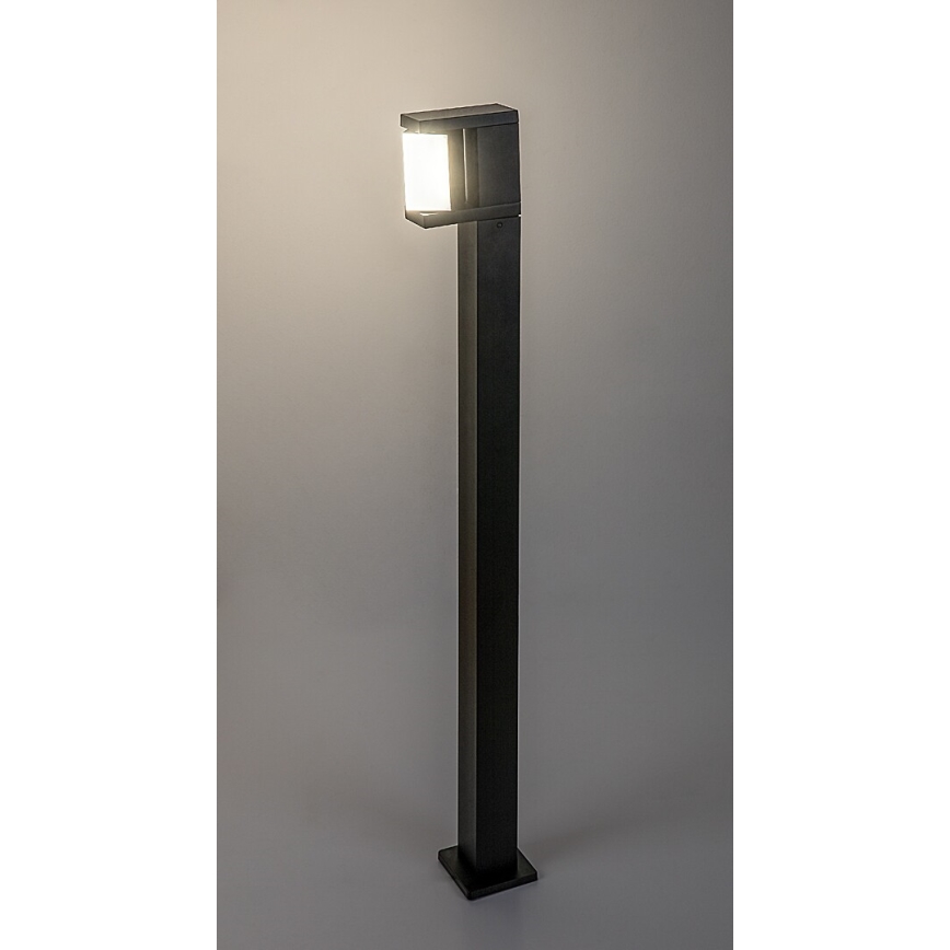 Rabalux - LED Outdoor lamp LED/10W/230V IP54