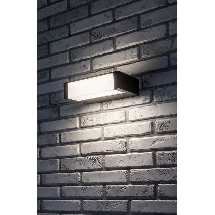 Rabalux - LED Outdoor wall light LED/18W/230V IP54