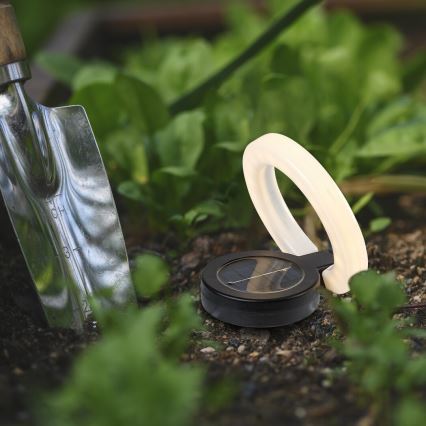 Rabalux - LED Solar light LED/0,05W/1,2V IP44