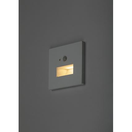 Rabalux - LED staircase light with motion and dusk sensor LED/1W/230V 3000/4500/6500K white