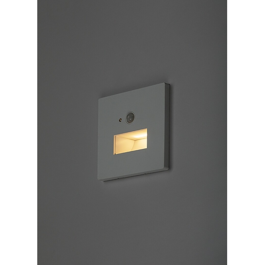 Rabalux - LED staircase light with motion and dusk sensor LED/1W/230V 3000/4500/6500K white