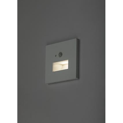 Rabalux - LED staircase light with motion and dusk sensor LED/1W/230V 3000/4500/6500K white