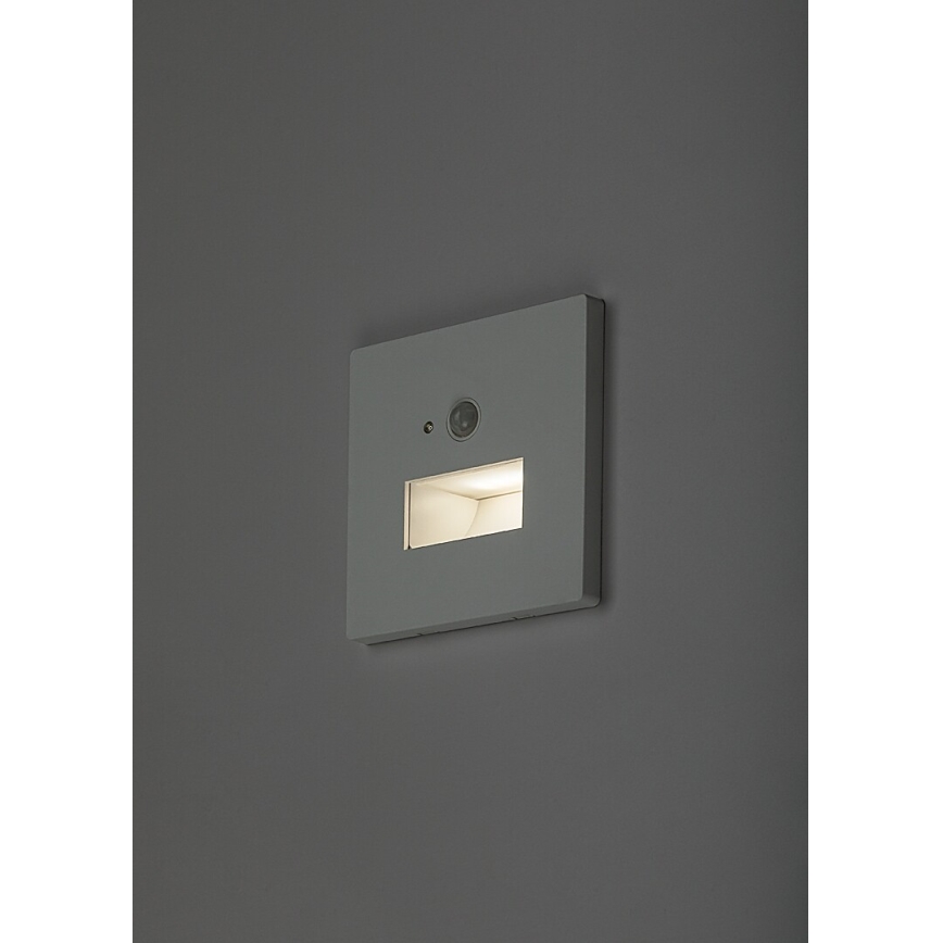 Rabalux - LED staircase light with motion and dusk sensor LED/1W/230V 3000/4500/6500K white