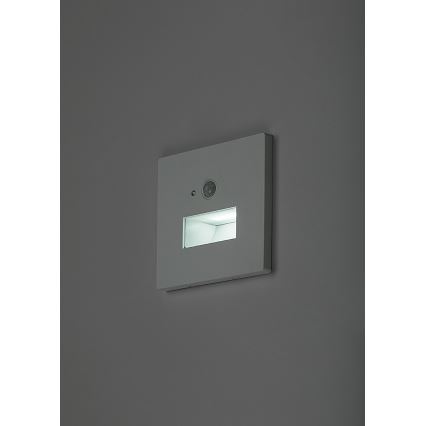 Rabalux - LED staircase light with motion and dusk sensor LED/1W/230V 3000/4500/6500K white