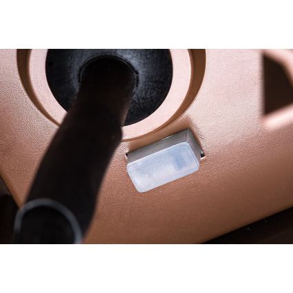 Rabalux - LED Outdoor Wall Light LED/9W/230V IP65 Brown