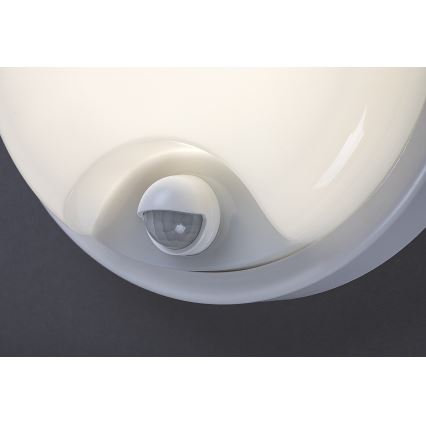 Rabalux - LED Outdoor Wall Light with Sensor LED/18W/230V IP65 White