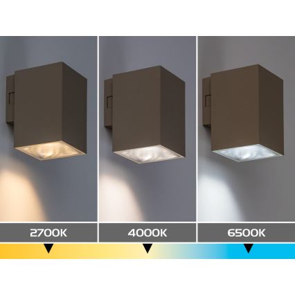 Rabalux - LED Outdoor Wall Light LED/9W/230V 2700/4000/6500K IP65