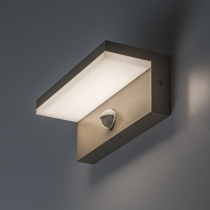 Rabalux - LED outdoor wall light with sensor LED/9W/230V IP54 beige