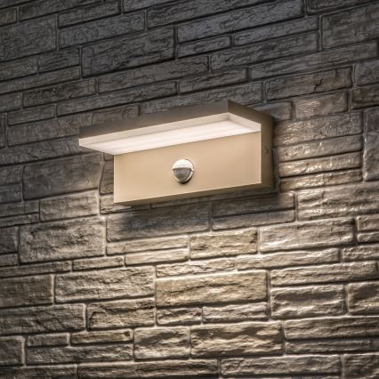 Rabalux - LED outdoor wall light with sensor LED/9W/230V IP54 beige