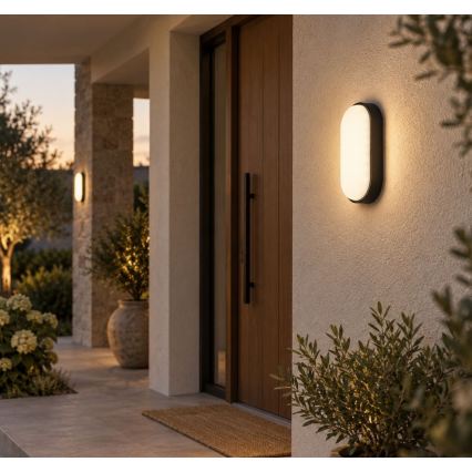 Rabalux - LED Outdoor Wall Light LED/14W/230V IP54 black
