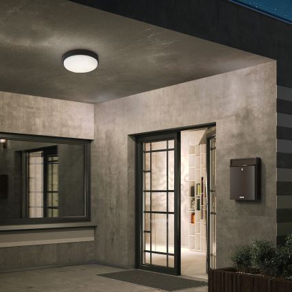Rabalux - LED Outdoor ceiling light LED/14W/230V IP54 black