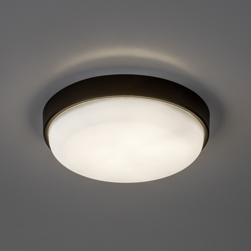 Rabalux - LED Outdoor ceiling light LED/14W/230V IP54 black