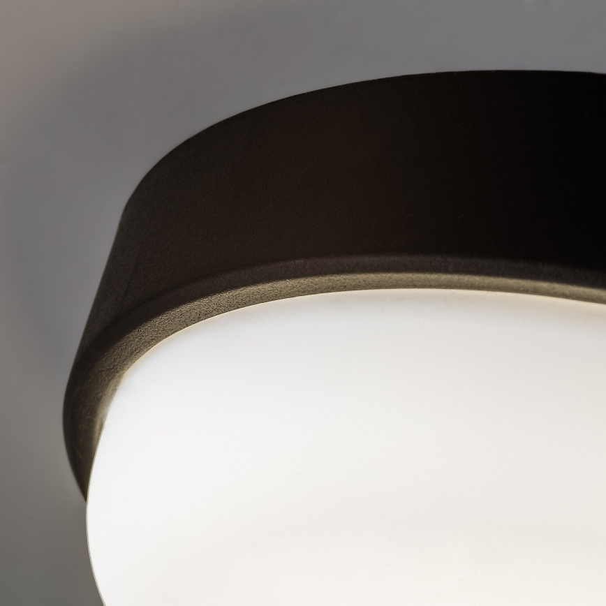 Rabalux - LED Outdoor ceiling light LED/14W/230V IP54 black
