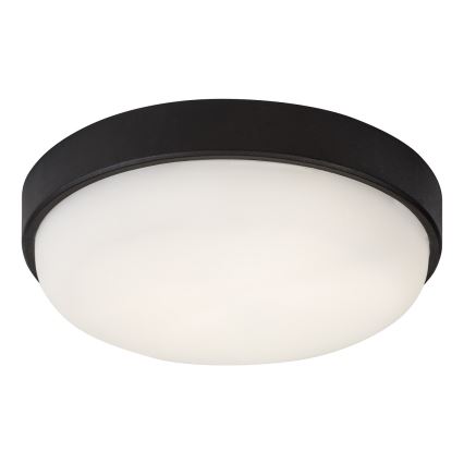 Rabalux - LED Outdoor ceiling light LED/14W/230V IP54 black