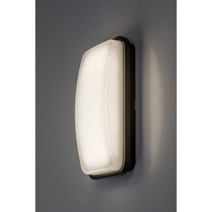 Rabalux - Outdoor wall light LED/20W/230V 4000K IP65