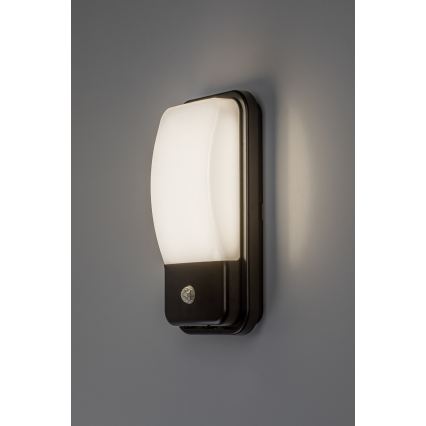 Rabalux - LED Outdoor Wall Light with Motion Sensor LED/20W/230V IP65