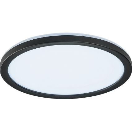 Rabalux - LED Dimmable outdoor ceiling light LED/15W/230V Wi-Fi Tuya 2700-6500K IP44 + remote control