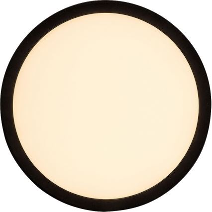 Rabalux - LED Dimmable outdoor ceiling light LED/15W/230V Wi-Fi Tuya 2700-6500K IP44 + remote control