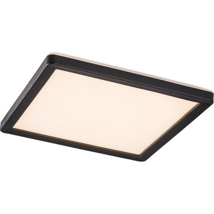 Rabalux - LED Dimmable outdoor ceiling light LED/15W/230V Wi-Fi Tuya 2700-6500K IP44 + remote control