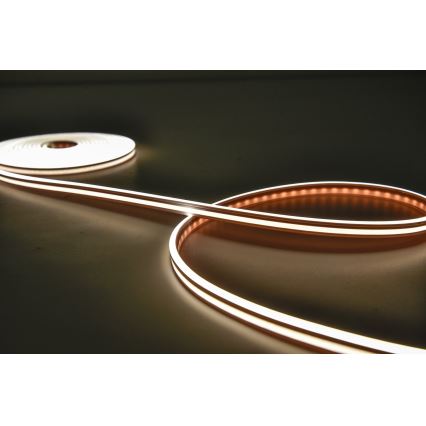 Rabalux - LED RGBW Dimmable strip LED/21W/230V 5 m IP67 + remote control