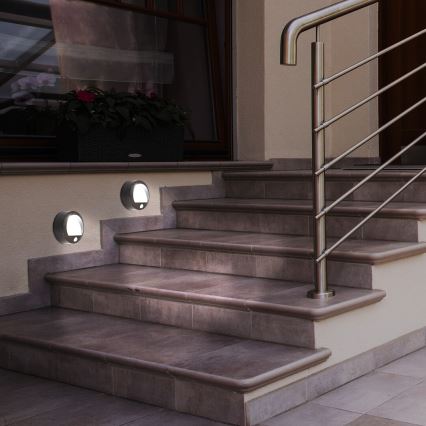 Rabalux - LED Outdoor wall light with sensor LED/1,5W/3xAA IP44 black