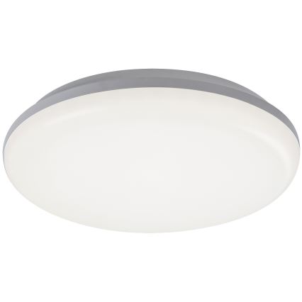 Rabalux - LED Outdoor ceiling light LED/24W/230V IP64
