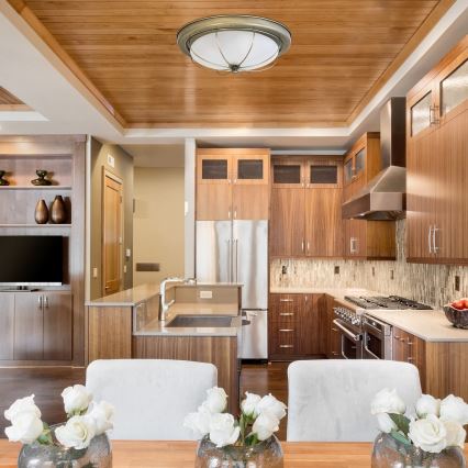 Rabalux - Ceiling light 2xE27/40W/230V