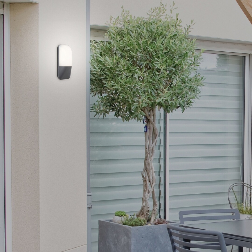 Rabalux - LED Outdoor wall light LED/10W/230V IP65 800lm 4000K