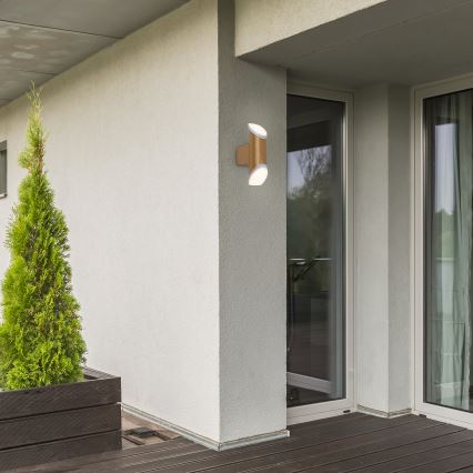 Rabalux - LED Outdoor wall light LED/6W/230V IP44 270lm 3000K