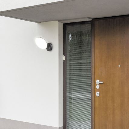Rabalux - LED Outdoor wall light LED/12W/230V IP54