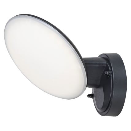 Rabalux - LED Outdoor wall light LED/12W/230V IP54
