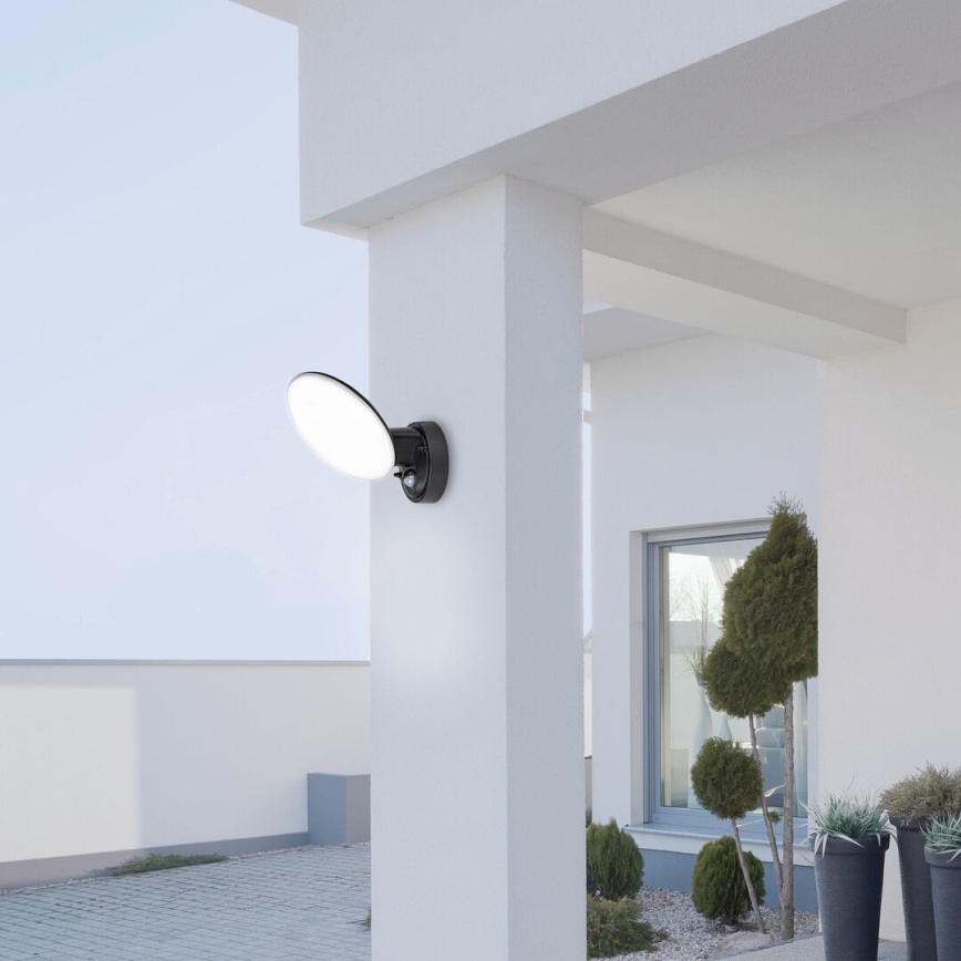 Rabalux - LED Outdoor wall light with a sensor LED/12W/230V IP54