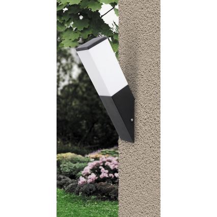 Rabalux - Outdoor wall light 1xE27/60W/230V IP44