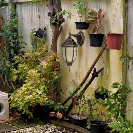Rabalux - Outdoor wall light 1xE27/60W/230V