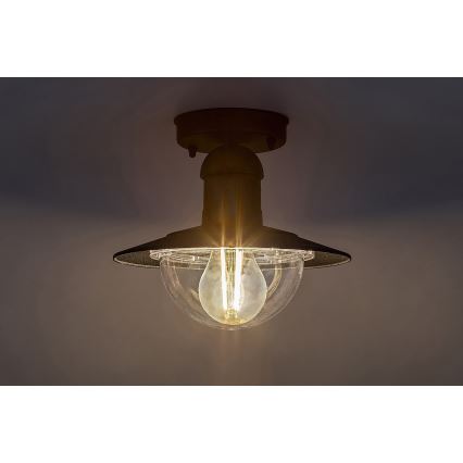 Rabalux - Outdoor ceiling light 1xE27/60W