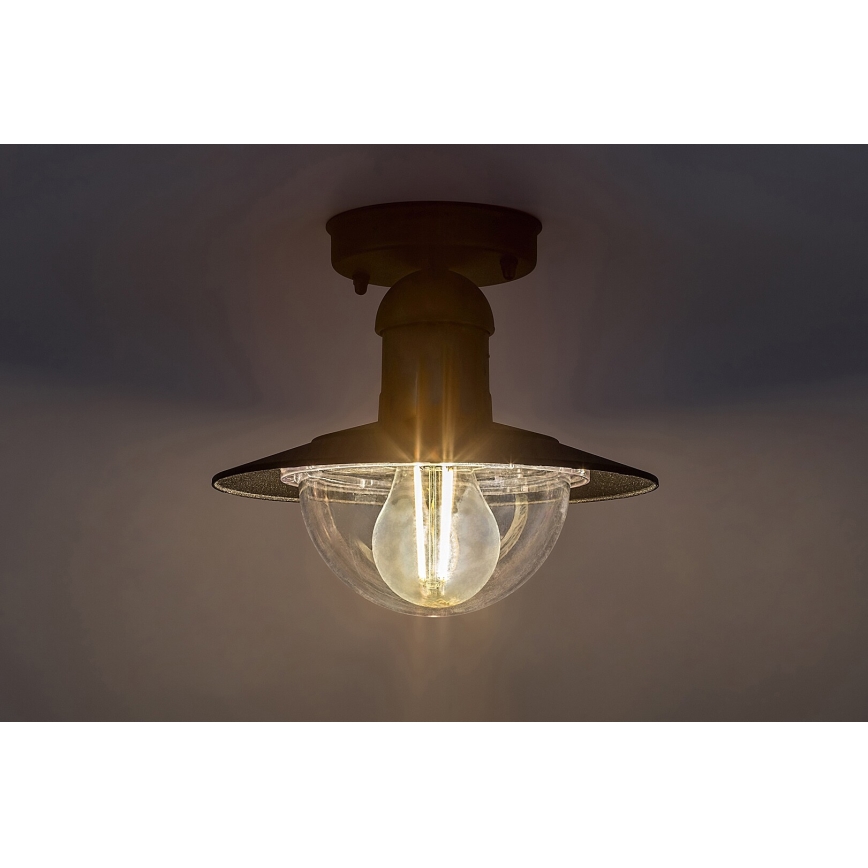 Rabalux - Outdoor ceiling light 1xE27/60W