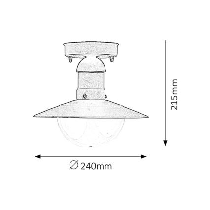 Rabalux - Outdoor ceiling light 1xE27/60W