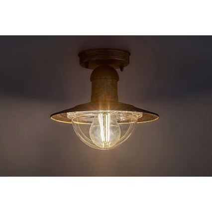 Rabalux - Outdoor ceiling light 1xE27/60W