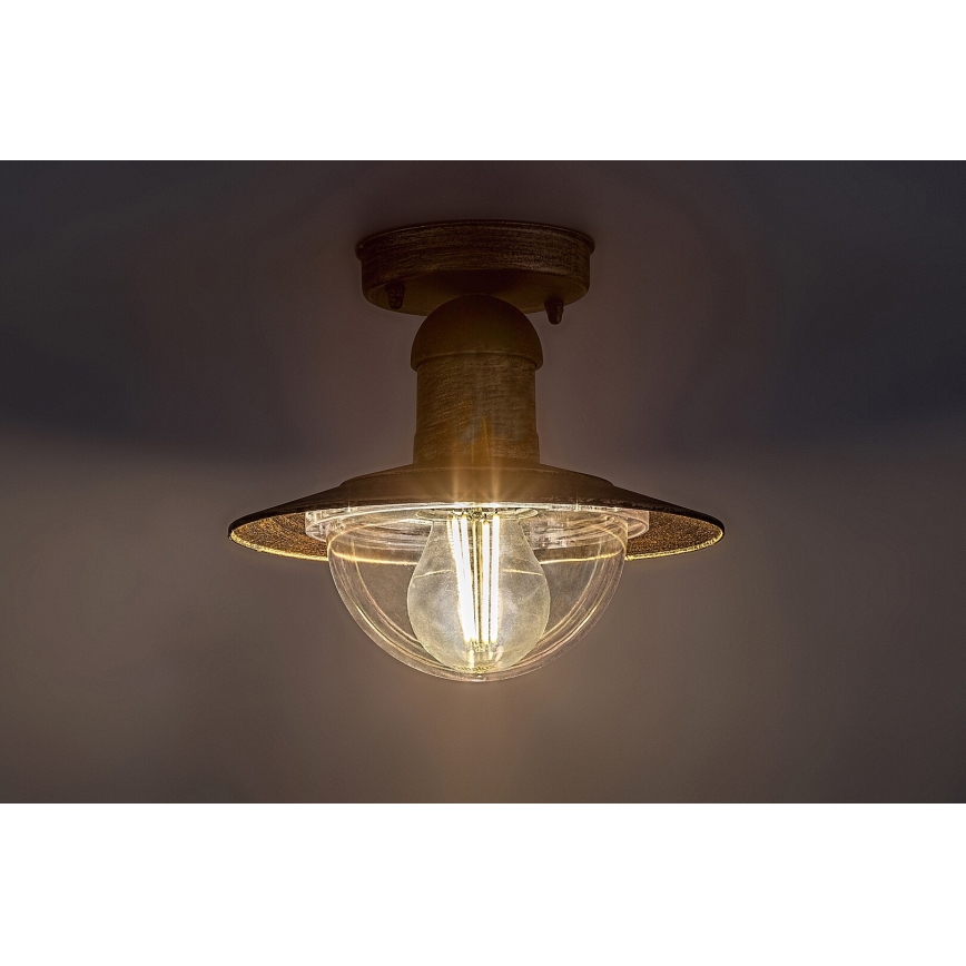 Rabalux - Outdoor ceiling light 1xE27/60W