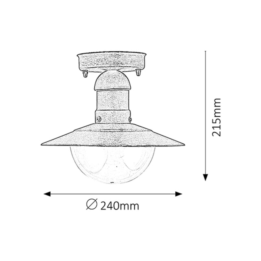 Rabalux - Outdoor ceiling light 1xE27/60W