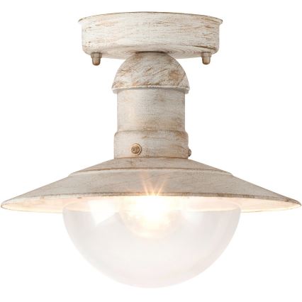 Rabalux - Outdoor ceiling light 1xE27/60W