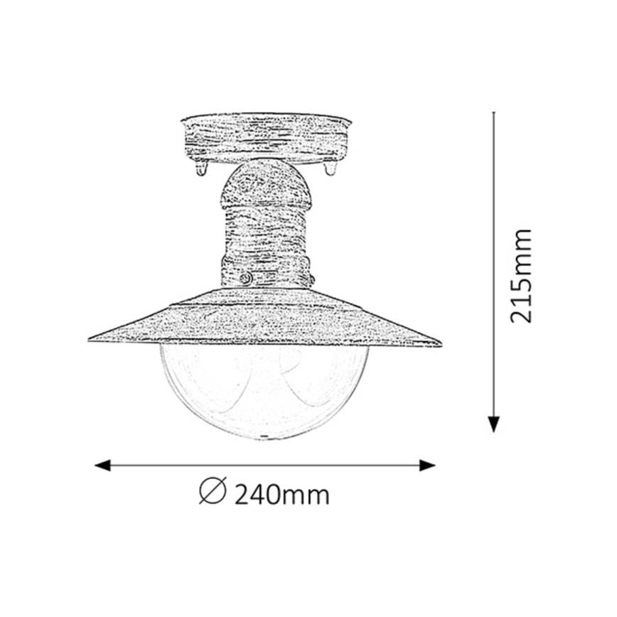 Rabalux - Outdoor ceiling light 1xE27/60W