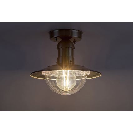 Rabalux - Outdoor ceiling light 1xE27/60W