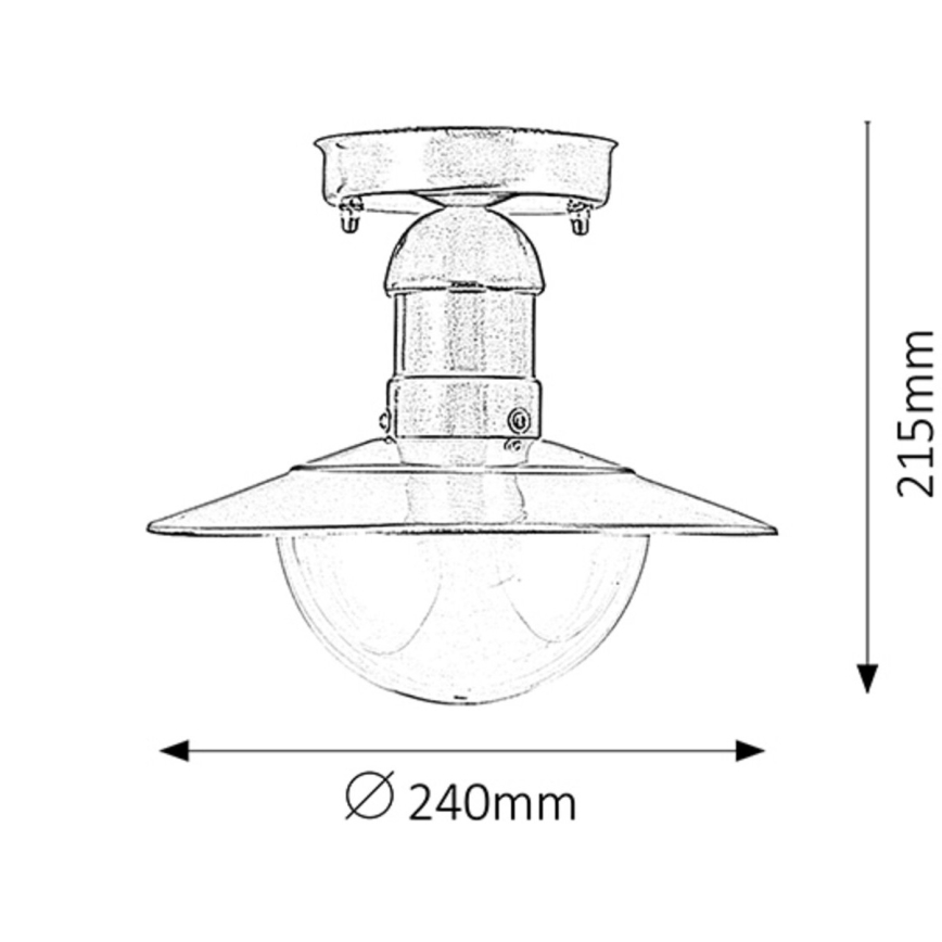 Rabalux - Outdoor ceiling light 1xE27/60W