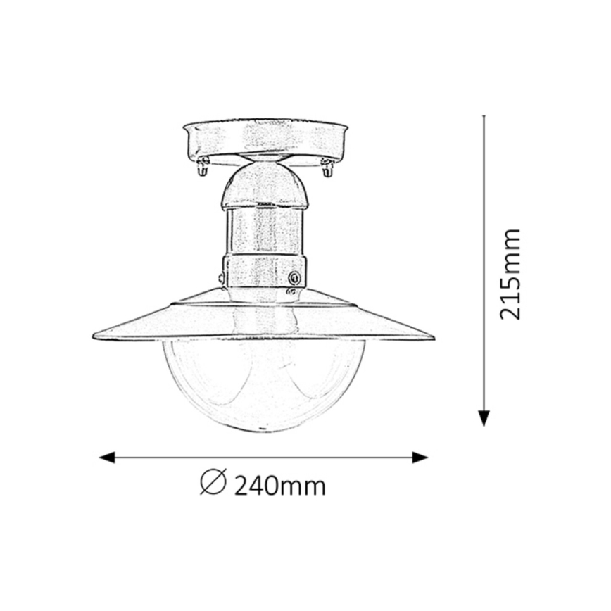 Rabalux - Outdoor ceiling light 1xE27/60W