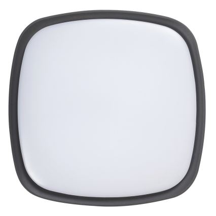 Rabalux - LED Outdoor ceiling light LED/20W/230V IP65