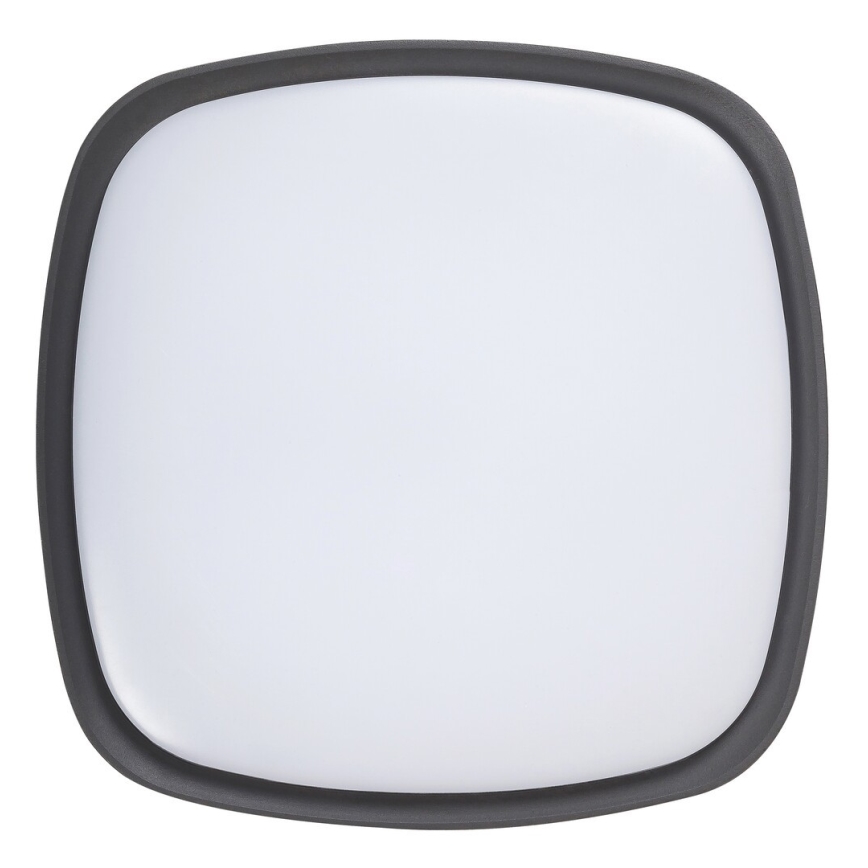 Rabalux - LED Outdoor ceiling light LED/20W/230V IP65